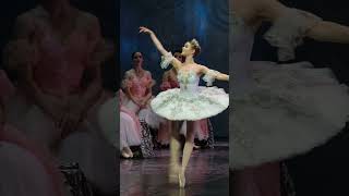 classical Russian ballet The Nutcracker [upl. by Wehner]