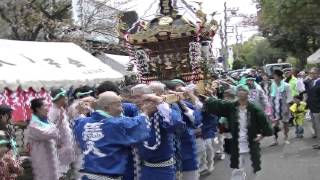 平成26年 平塚市中堂・馬入神明神社 例大祭 神輿宮立ち・渡御 [upl. by Bearce]