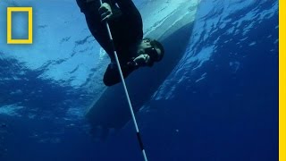 Tagging Silky Sharks  Shark Men [upl. by Fuld249]