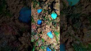 Gem mine in Local Rainforest india crystals gemstone gem naturalgems crystal preciousstones [upl. by Enirol]