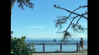 1WayPastCool Enjoying Ocean Views At Capitola Beach [upl. by Paderna]