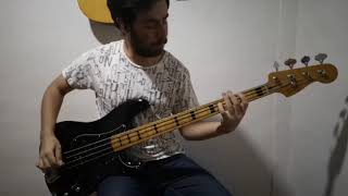 Brick by boring brick Paramore Bass Cover [upl. by Bobbee358]