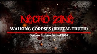 WALKING CORPSES BRUTAL TRUTH  Live at OBSCENE EXTREME FESTIVAL 2024 [upl. by Gaylene896]