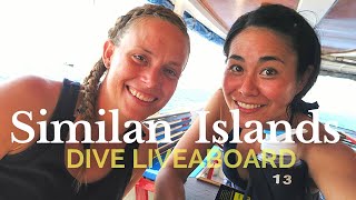 MY LIVEABOARD VACATION  SCUBA DIVING SIMILAN ISLANDS [upl. by Brande]