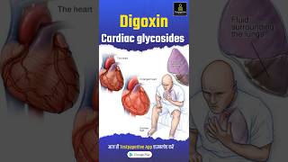 Digoxin  Cardiac glycosides  Short Review by Girvar sir digoxin cardiacglycosides nursing [upl. by Yemaj]