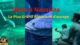 Visite Nausicaa  Le Plus Grand Aquarium Deurope [upl. by Adnawahs258]