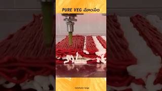 🤯🤯🤯 Pure Veg Meat Printing in Netherland in Telugu  facts [upl. by Anawak]