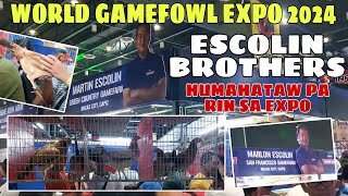 WORLD GAMEFOWL EXPO 2024  ESCOLIN BROTHERS  gwapo at magaling na mga manok  BALERIANS GAMEYARD [upl. by Amari2]