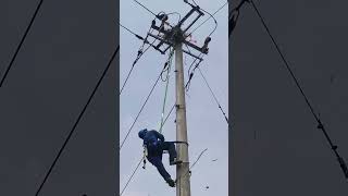 Birdnest removal process from the power transmission pole [upl. by Ermine]