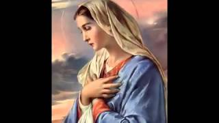 Salve Regina  Gregorian Chant [upl. by Zebadiah]