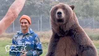 FacetoFace with an 800lb Grizzly Bear  Better Man [upl. by Osanna]