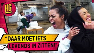 Marijn WAT KAN Jane nou EIGENLIJK  Hooligirls Gooien Ballen [upl. by Rumit921]