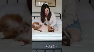 How Haven Mattresses Provide The Best Comfort For My Family [upl. by Hellman652]