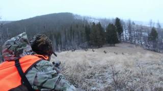 SOLO Hunter TV  Winter Elk in Montana [upl. by Therine]