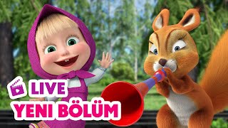 🔴 LIVE Maşa İle Koca Ayı  🥳 Yeni bölüm  ⚽ Bir Gol Yeter 🥅  Masha and the Bear [upl. by Fransen965]