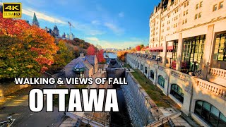 The Beauty of Ottawa in Fall  4K Views Walking Canadas Capital [upl. by Luwana]