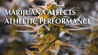 Marijuana Affects Athletic Performance [upl. by Ttam]