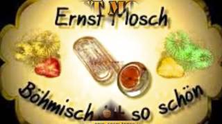 Böhmische Gemütlichkeit  Ernst Mosch amp Egerländer Musikanten [upl. by Nevarc452]