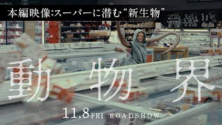 映画『動物界』本編映像／スーパーに潜む”新生物”｜11月8日金公開 [upl. by Ademla]