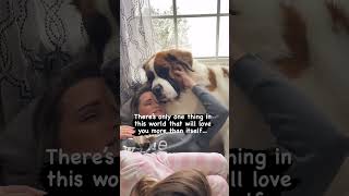 Unconditional Love A Dog And Its Owner 💖🐾 DogLove HeartwarmingBond Shorts [upl. by Elbert]