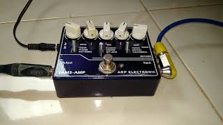 SansAmp GT2 clone clean channel ARP ELECTRONIC [upl. by Anerul645]