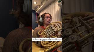 He Loves You  Seawind flugelhorn solo tr frenchhorn transcription [upl. by Anelem]