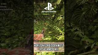 Horizon Forbidden West PS4 GAMEPLAY [upl. by Lerak]