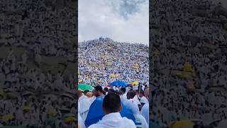 Arafat day  Live hajj 2024 makkah hajj sauduarabia shorts [upl. by Adlemi]