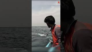 Deep Sea Fishing for King Fish fishing fishingvideo fishingtime [upl. by Baiel145]