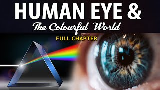 Human Eye and Colourful World Full chapter Animation  Class 10 Science Chapter 11  CBSE [upl. by Rape]