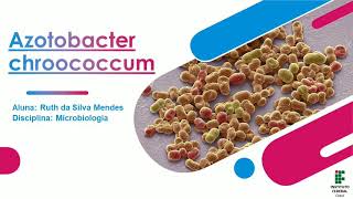 Azotobacter chroococcum [upl. by Claudell]