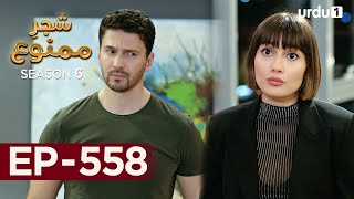 ShajareMamnu  Episode 558  Turkish Drama  Forbidden Fruit  Urdu Dubbing  5th June 2023 [upl. by Bishop]