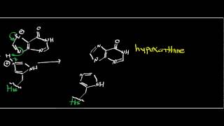 Biochemistry  Purine Nucleoside Phosphorylase  Physiology Biochemistry amp Mechanism [upl. by Lavena]