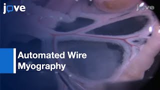 Automated Wire Myography for Mesenteric Artery Movement Studies  Protocol Preview [upl. by Acirem]