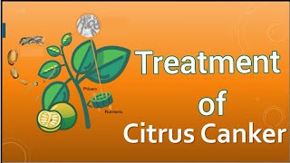 Treatment and control of citrus canker  Eradication [upl. by Griselda]