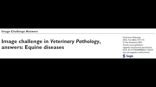 podcast 24B quotImage Challenge In Veterinary Pathology Answers Equine Diseasesquot 1540 [upl. by Jempty]