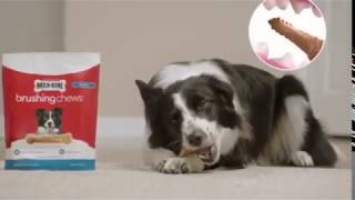 Milk Bone Commercial for Brushing Chews [upl. by Rrats165]