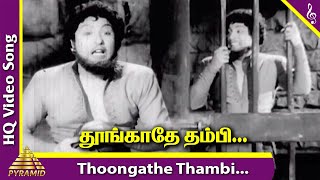 Thoongathe Thambi Video Song  Nadodi Mannan Movie Songs  MGR  Saroja Devi  Bhanumathi  Nambiar [upl. by Yenetruoc]