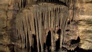 ForestvilleMystery Cave State Park virtual tour [upl. by Adolphus]