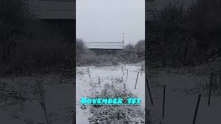 November 1st 🧐 🥷 [upl. by Ecirtnahc]