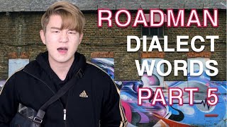 ROADMANLondon Dialect Words Part 5 [upl. by Brina]