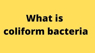 coliform bacteria क्या हैcoliform bacteriacoliform bacteria in Hindicoliform bacteria in water [upl. by Naamann453]