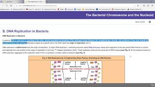 The Bacterial Chromosome and Nucleoid [upl. by Releyks]