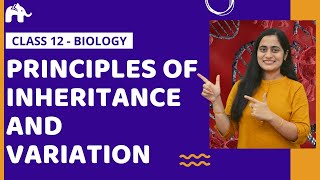 Principles of Inheritance and Variation Class 12 Biology Genetics One Shot NCERT CBSE NEET [upl. by Akiaki665]