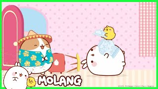 Molang  The Guest  Comedy Cartoon  More ⬇️ ⬇️ ⬇️ [upl. by Bertila]