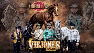 Los Viejones de Linares Corridos De Caballos Vol 1 [upl. by Tootsie]