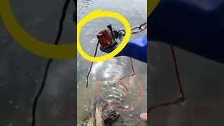 Encuentra Cientos de Dólares Pescando con un Imán en un Lago [upl. by Etnauj]