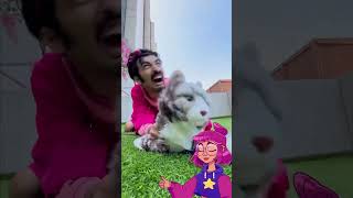 You’ll Crack Up Watching This 😂🍿 WatchNow FunnyMoments [upl. by Erimahs560]