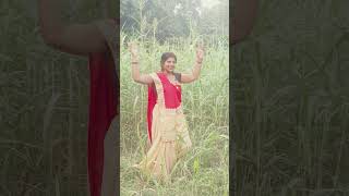 man ke panchi bhojpuri song music [upl. by Coltson]