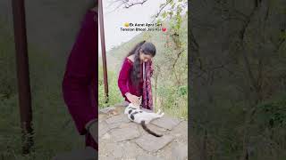 Fikar Song ❤️  Neha Kakkar  Rahat Fateh Ali Khan shorts punjabisong husbandlove cat catlover [upl. by Bina]